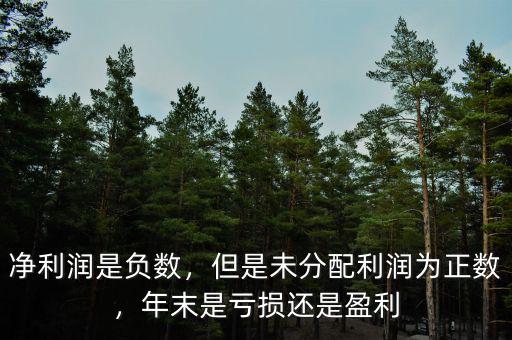 凈利潤是負(fù)數(shù)，但是未分配利潤為正數(shù)，年末是虧損還是盈利