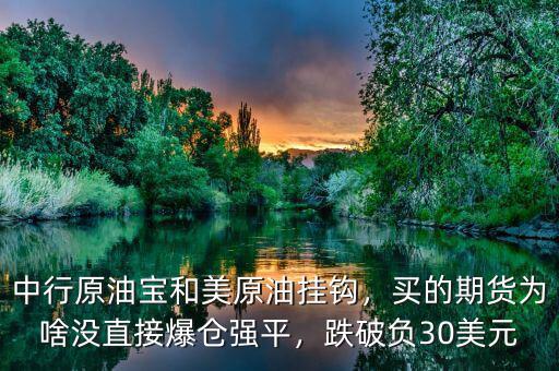 中行原油寶和美原油掛鉤，買的期貨為啥沒直接爆倉強(qiáng)平，跌破負(fù)30美元