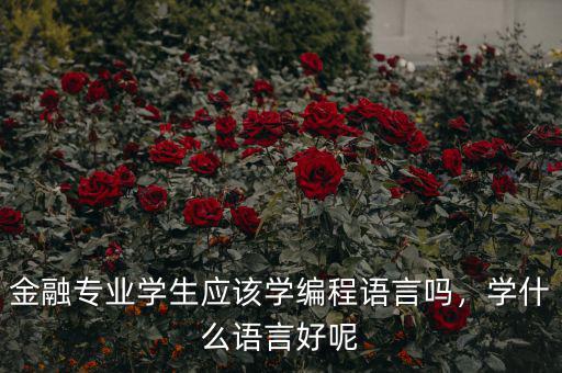 金融專業(yè)學(xué)生應(yīng)該學(xué)編程語言嗎，學(xué)什么語言好呢