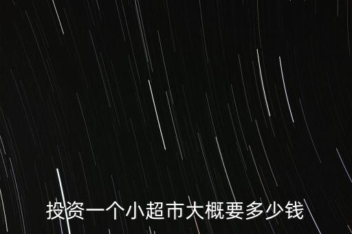 龍盟投資多少錢(qián),投資一個(gè)小超市大概要多少錢(qián)