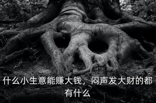 什么小生意能賺大錢，悶聲發(fā)大財(cái)?shù)亩加惺裁? class=