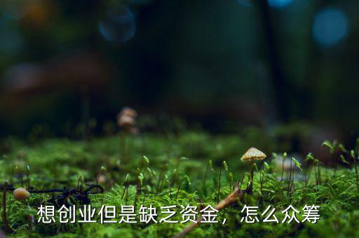 想創(chuàng)業(yè)但是缺乏資金，怎么眾籌