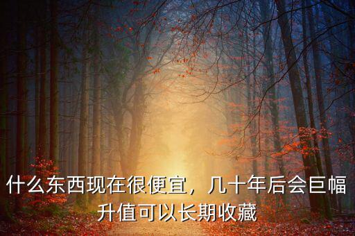什么東西現(xiàn)在很便宜，幾十年后會巨幅升值可以長期收藏