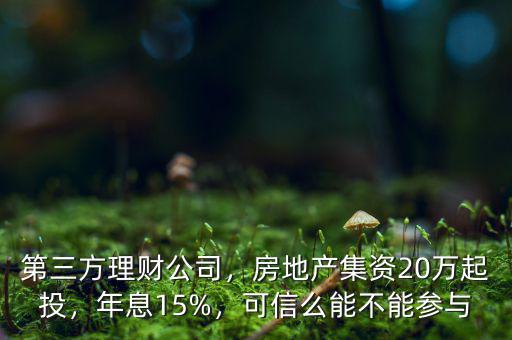 第三方理財公司，房地產(chǎn)集資20萬起投，年息15%，可信么能不能參與