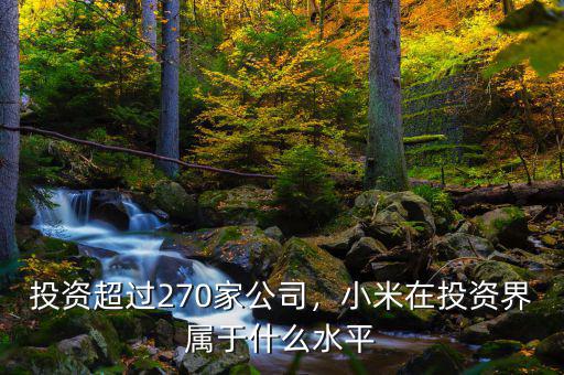 投資超過(guò)270家公司，小米在投資界屬于什么水平