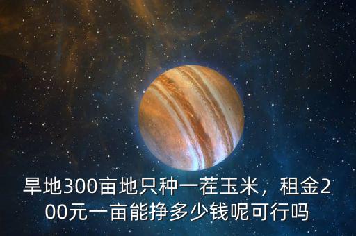 旱地300畝地只種一茬玉米，租金200元一畝能掙多少錢(qián)呢可行嗎