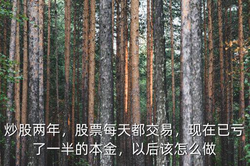 炒股兩年，股票每天都交易，現(xiàn)在已虧了一半的本金，以后該怎么做