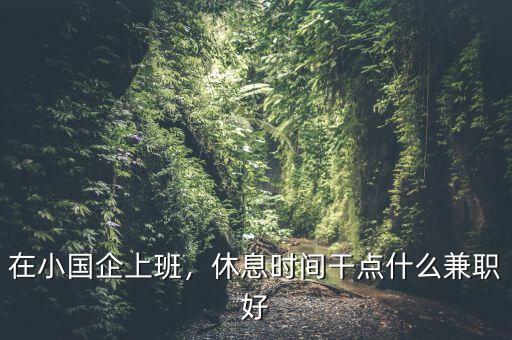在小國企上班，休息時(shí)間干點(diǎn)什么兼職好
