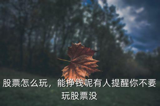 股票怎么玩，能掙錢呢有人提醒你不要玩股票沒