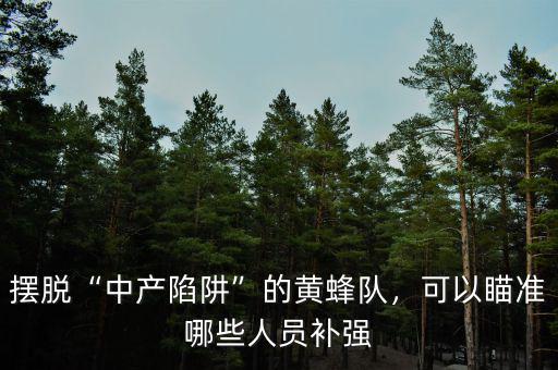 擺脫“中產(chǎn)陷阱”的黃蜂隊(duì)，可以瞄準(zhǔn)哪些人員補(bǔ)強(qiáng)