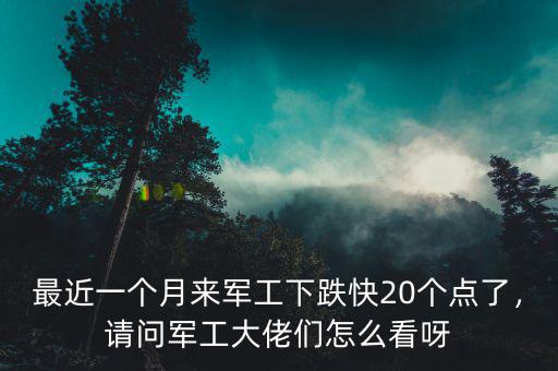 最近一個月來軍工下跌快20個點(diǎn)了，請問軍工大佬們怎么看呀