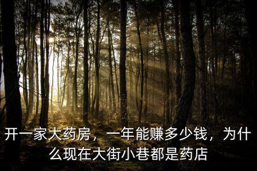 開一家大藥房，一年能賺多少錢，為什么現(xiàn)在大街小巷都是藥店