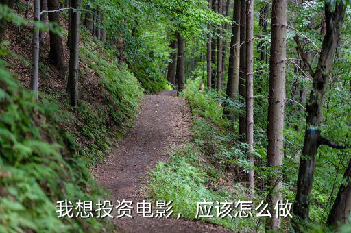 我想投資電影，應(yīng)該怎么做