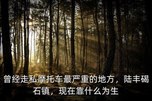 曾經(jīng)走私摩托車最嚴(yán)重的地方，陸豐碣石鎮(zhèn)，現(xiàn)在靠什么為生