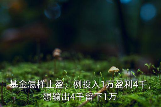 基金怎樣止盈，例投入1萬盈利4千，想輸出4千留下1萬
