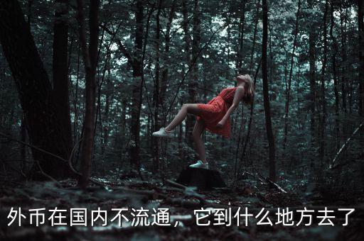 外幣在國(guó)內(nèi)不流通，它到什么地方去了