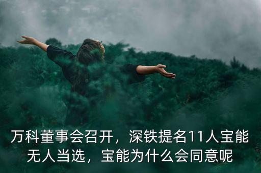 萬科董事會(huì)召開，深鐵提名11人寶能無人當(dāng)選，寶能為什么會(huì)同意呢
