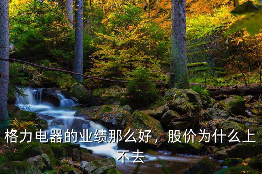 格力電器的業(yè)績那么好，股價為什么上不去