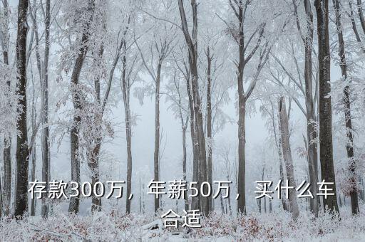 存款300萬，年薪50萬，買什么車合適