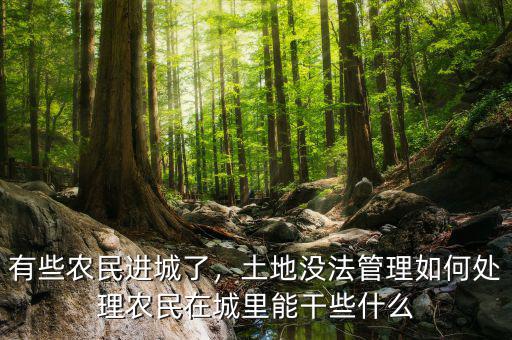 有些農民進城了，土地沒法管理如何處理農民在城里能干些什么