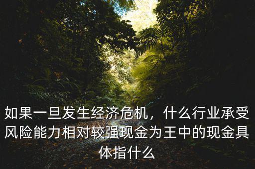 如果一旦發(fā)生經(jīng)濟(jì)危機(jī)，什么行業(yè)承受風(fēng)險能力相對較強(qiáng)現(xiàn)金為王中的現(xiàn)金具體指什么