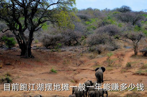 目前跑江湖擺地?cái)傄话阋荒昴苜嵍嗌馘X(qián)