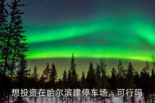 想投資在哈爾濱建停車場，可行嗎