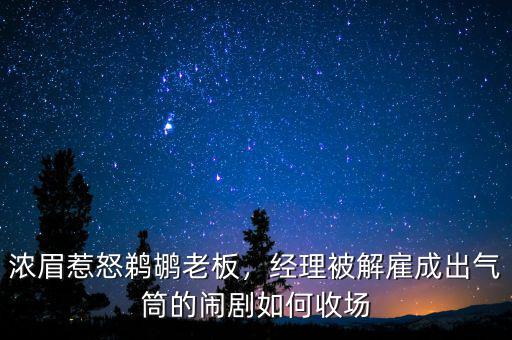 濃眉惹怒鵜鶘老板，經(jīng)理被解雇成出氣筒的鬧劇如何收?qǐng)? class=