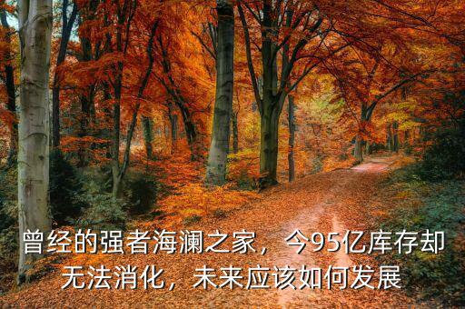 曾經(jīng)的強(qiáng)者海瀾之家，今95億庫存卻無法消化，未來應(yīng)該如何發(fā)展