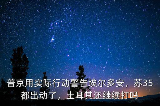 普京用實(shí)際行動(dòng)警告埃爾多安，蘇35都出動(dòng)了，土耳其還繼續(xù)打嗎