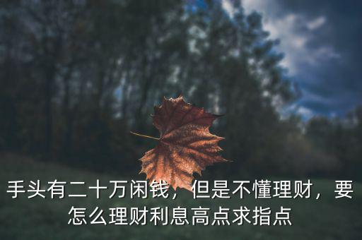 手頭有二十萬閑錢，但是不懂理財(cái)，要怎么理財(cái)利息高點(diǎn)求指點(diǎn)
