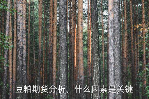 豆粕期貨分析，什么因素是關(guān)鍵
