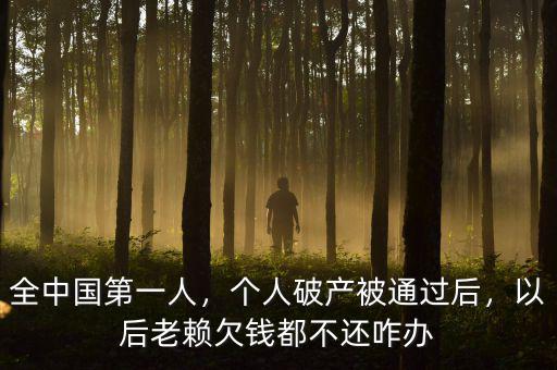 全中國第一人，個人破產(chǎn)被通過后，以后老賴欠錢都不還咋辦