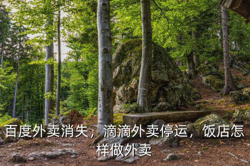 百度外賣消失，滴滴外賣停運(yùn)，飯店怎樣做外賣