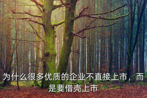為什么很多優(yōu)質(zhì)的企業(yè)不直接上市，而是要借殼上市