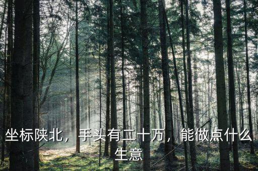 坐標(biāo)陜北，手頭有二十萬，能做點(diǎn)什么生意