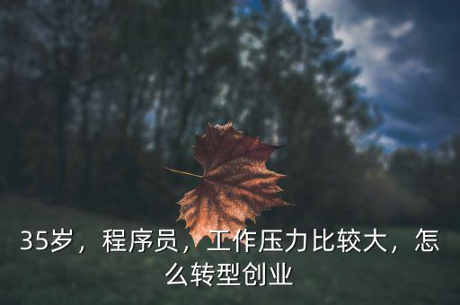 35歲，程序員，工作壓力比較大，怎么轉(zhuǎn)型創(chuàng)業(yè)
