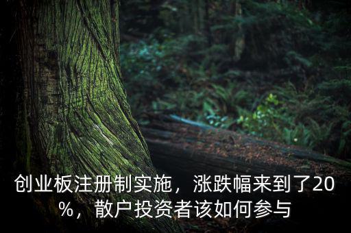 創(chuàng)業(yè)板注冊(cè)制實(shí)施，漲跌幅來(lái)到了20%，散戶投資者該如何參與