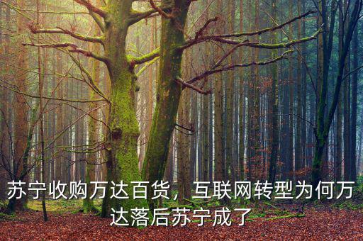 蘇寧收購萬達百貨，互聯網轉型為何萬達落后蘇寧成了