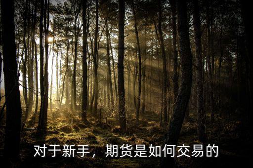 對于新手，期貨是如何交易的