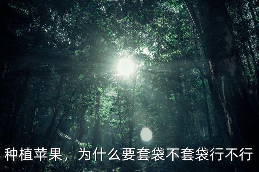 種植蘋果，為什么要套袋不套袋行不行