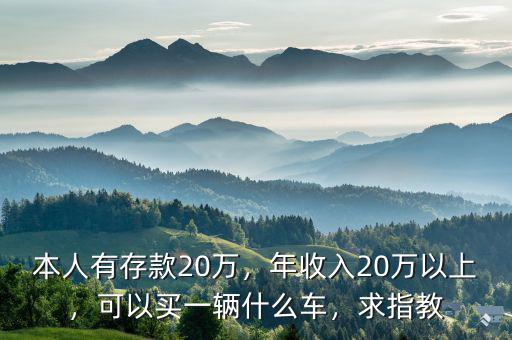 本人有存款20萬，年收入20萬以上，可以買一輛什么車，求指教