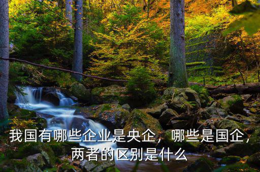 我國有哪些企業(yè)是央企，哪些是國企，兩者的區(qū)別是什么