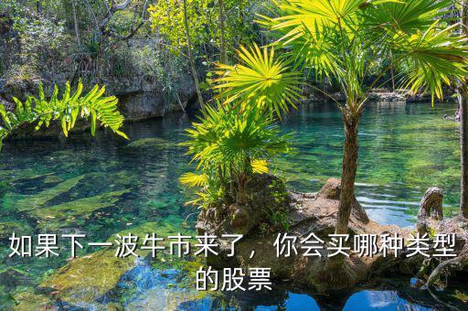如果下一波牛市來(lái)了，你會(huì)買(mǎi)哪種類(lèi)型的股票