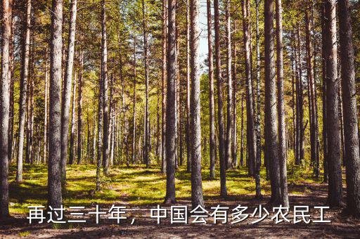 再過三十年，中國會有多少農(nóng)民工