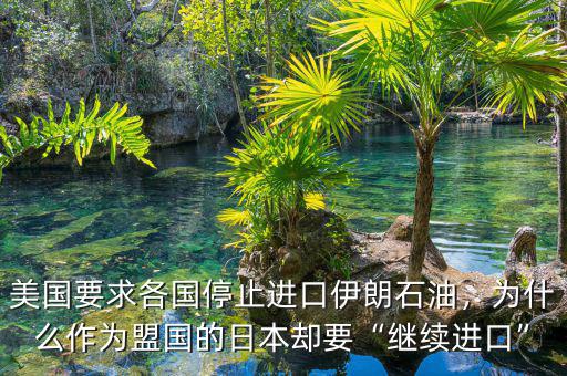 美國(guó)要求各國(guó)停止進(jìn)口伊朗石油，為什么作為盟國(guó)的日本卻要“繼續(xù)進(jìn)口”