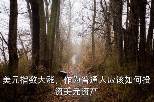 美元指數大漲，作為普通人應該如何投資美元資產