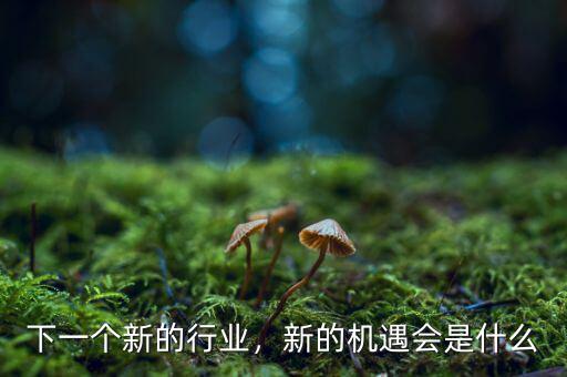 下一個(gè)新的行業(yè)，新的機(jī)遇會(huì)是什么