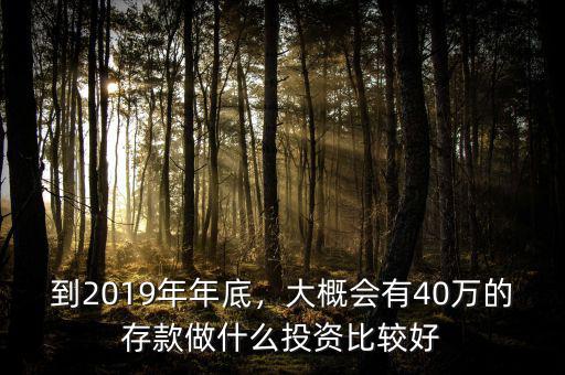 到2019年年底，大概會(huì)有40萬的存款做什么投資比較好
