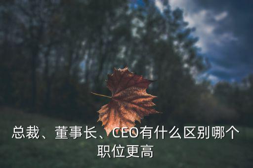 總裁、董事長、CEO有什么區(qū)別哪個(gè)職位更高